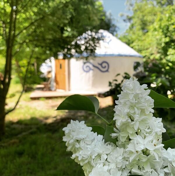 campsite with flowers